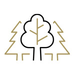 stadslogistiek-natuur Stadslogistiek zorgt voor minder verkeersdrukte